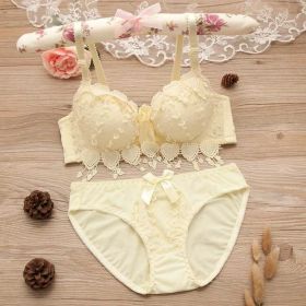 Thin Lace Push Up Adjustable Bra Set (Option: Yellow-70A)